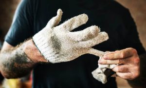پخش دستکش کار